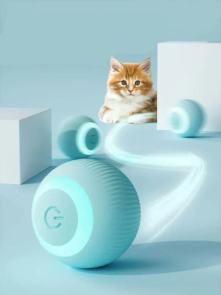 Zoomies Interactive Ball