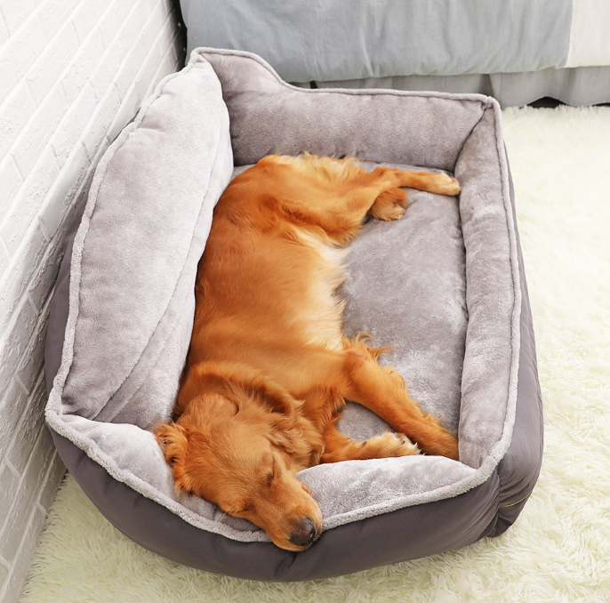 Zoomies™ Dog Bed