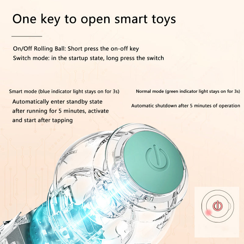 Zoomies Interactive Ball