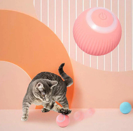 Zoomies Interactive Ball