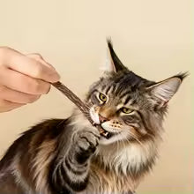 Dental Cleaning Stick for Cats