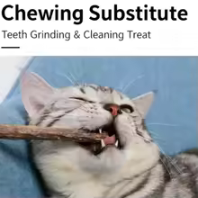 Dental Cleaning Stick for Cats