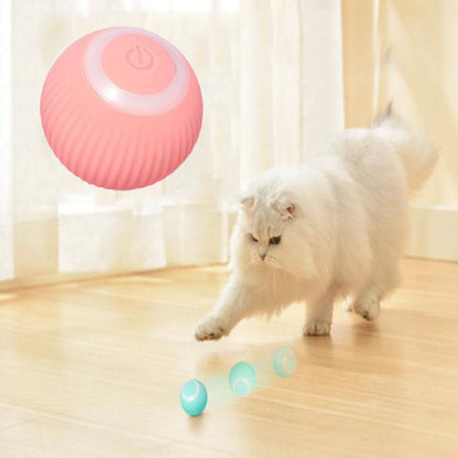 Zoomies Interactive Ball