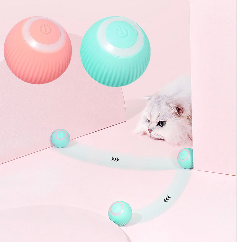 Zoomies Interactive Ball